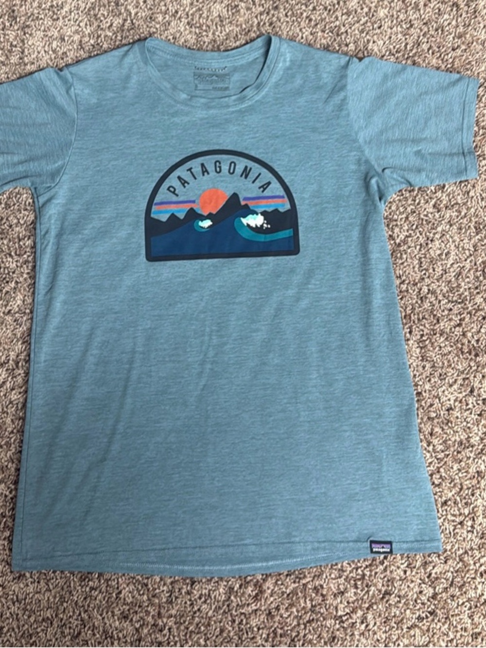 Patagonia women’s Blue Graphic Logo Tee